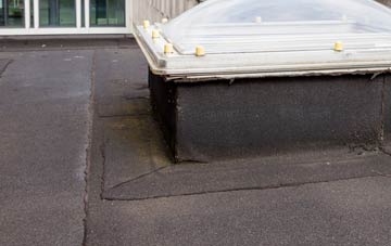 disadvantages of Chells flat roofs